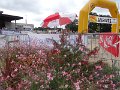 Courses_Jeunes_2013 -  (108)